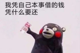 仙桃企业清欠服务