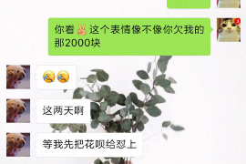 仙桃贷款清欠服务